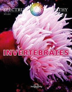 Invertebrates - Spectrum of Homeopathy 2021/3