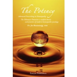 The Potency - Fibonacci Series