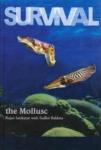 Survival: The Mollusc