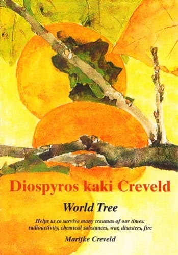 Diospyros Kaki Creveld: World Tree