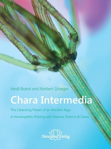 Chara Intermedia