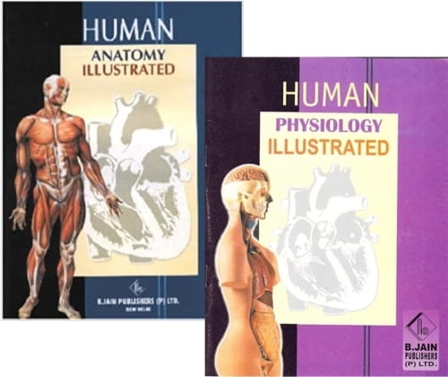 Human Anatomy and Human Physiology Illustrated (Set of Two Books)
