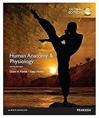 Human Anatomy and Physiology (10th Edition) - Global Edition