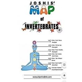 Joshis' Map of Invertebrates
