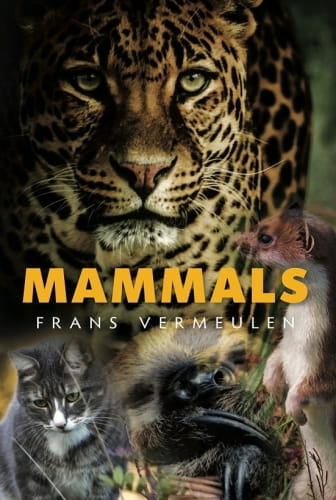Mammals 