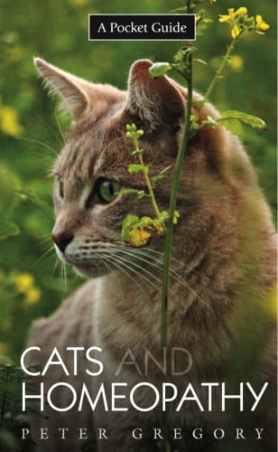 Cats And Homeopathy – A Pocket Guide