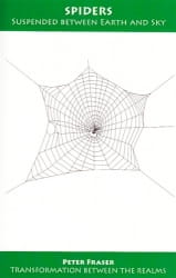 Spiders: Suspended Between Earth and Sky
